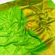 Parrot Green__Royal Rajgharana Sarees